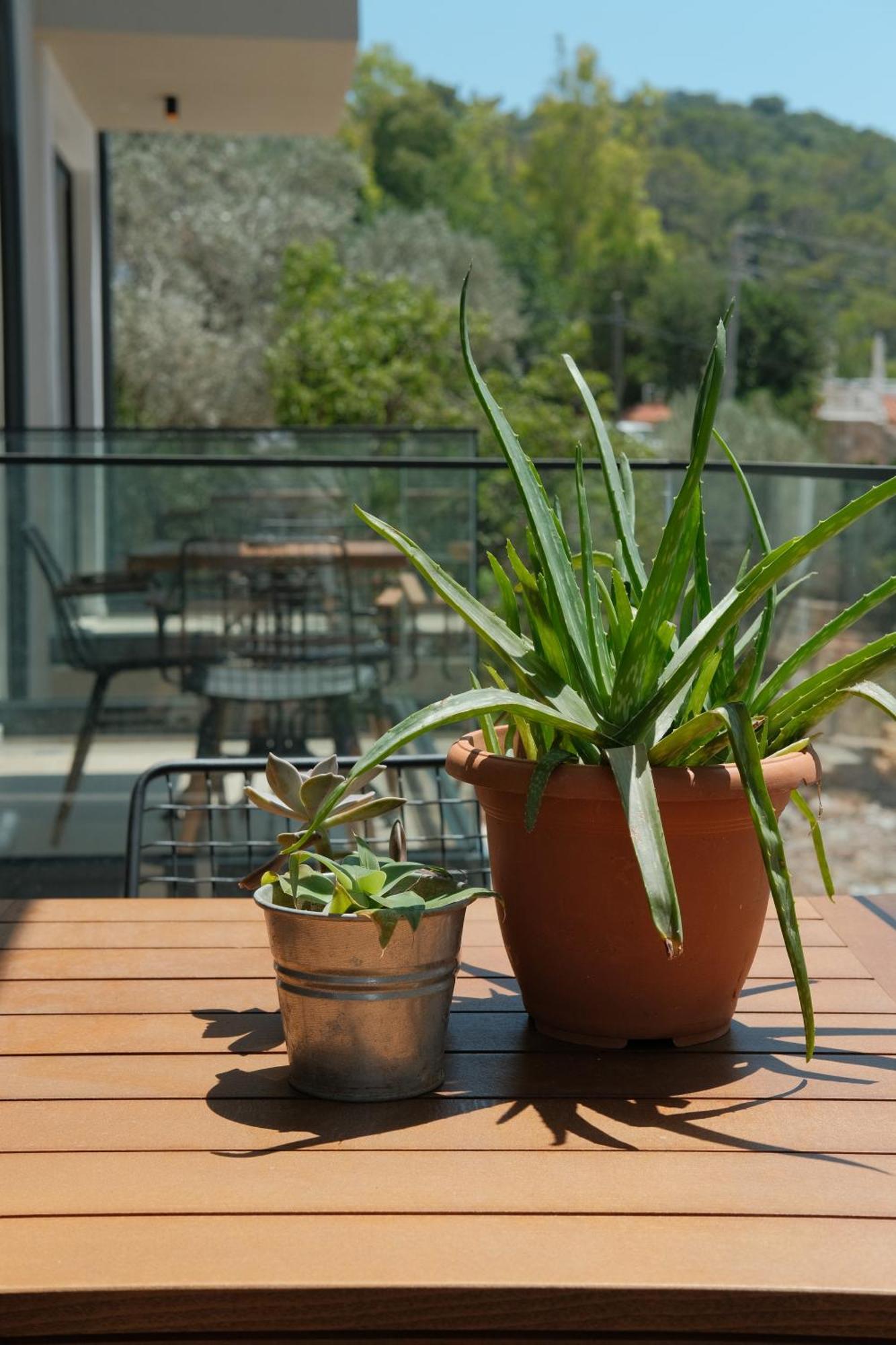 Kaktus Suites Kaş Extérieur photo